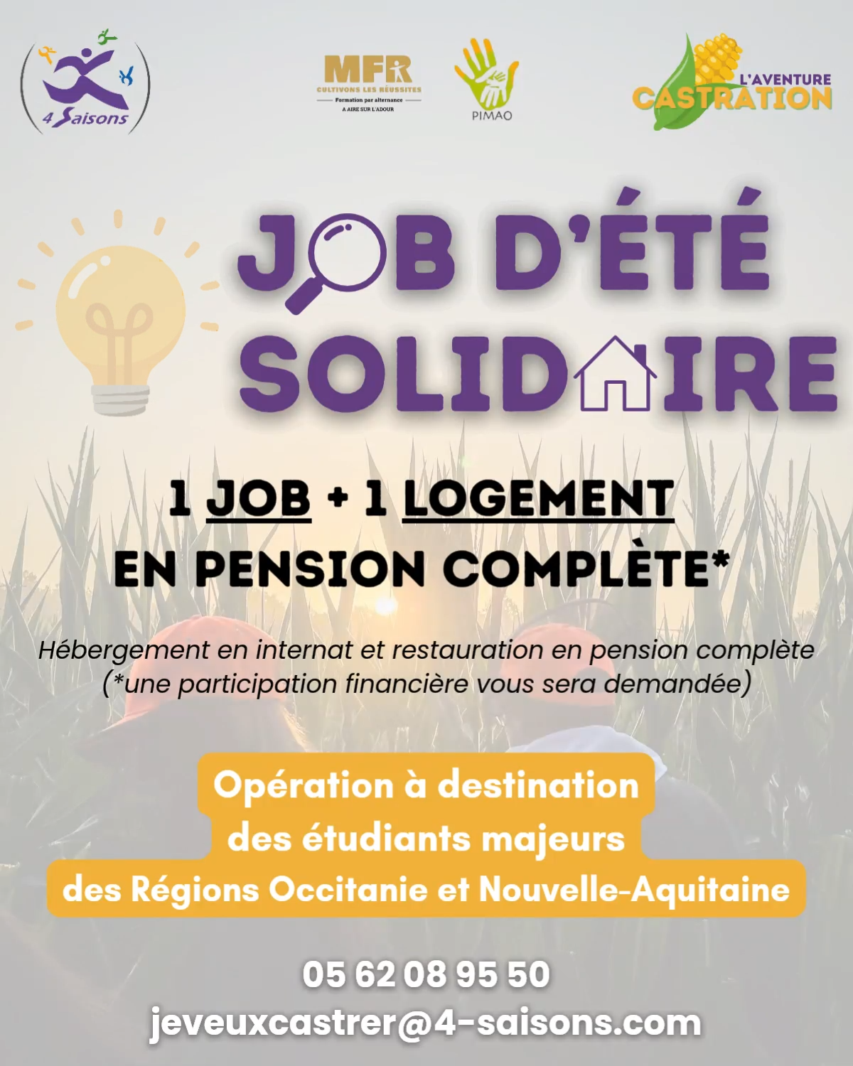 Job été
