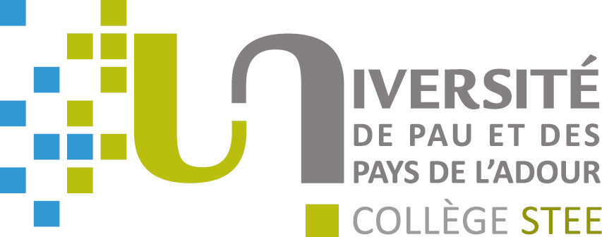 Logo UPPA Collège STEE