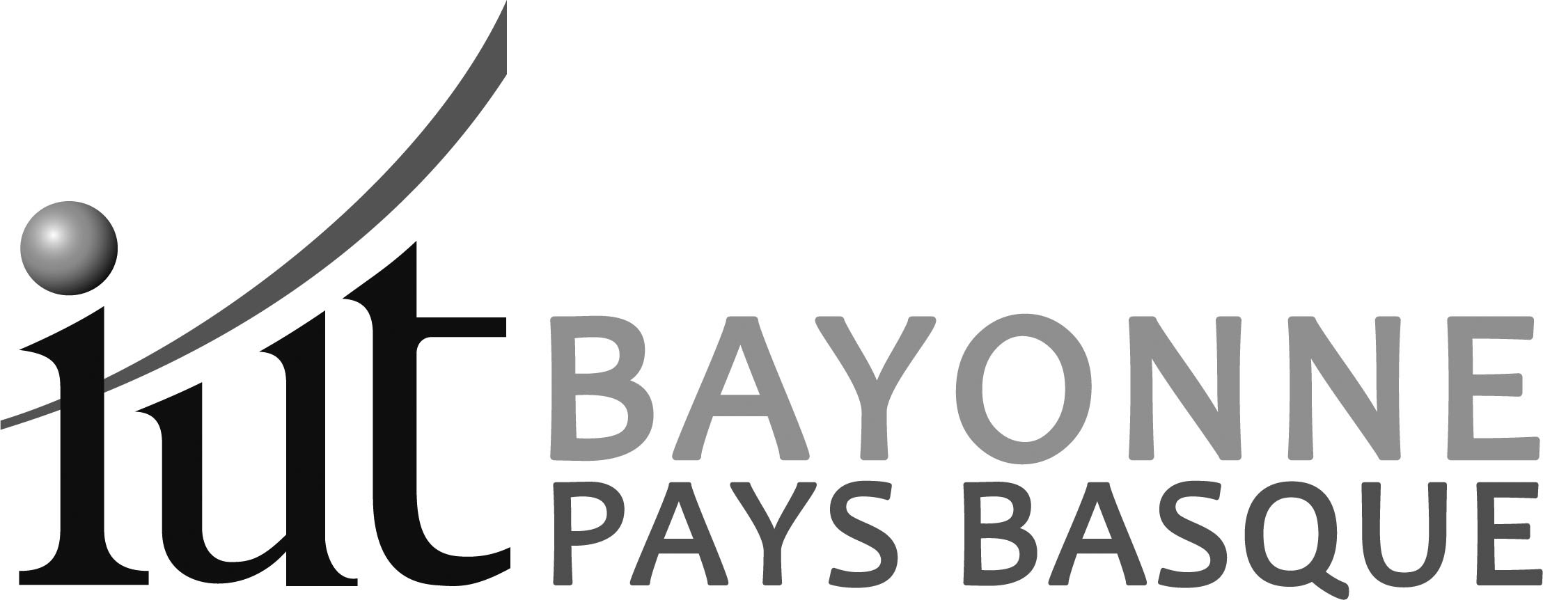 Logo horizontal en niveau de gris de l'IUT de Bayonne et du Pays Basque